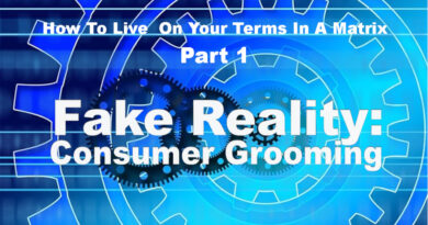 Fake Reality: Consumer Grooming